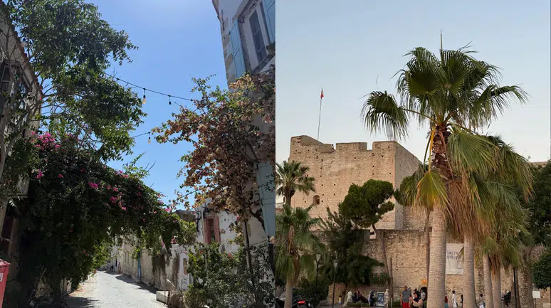 Alaçatı’dan Çeşme Kalesi’ne: Ege’nin kalbinde tarih ve modern yaşam yan yana