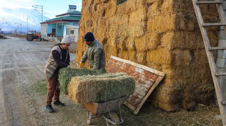 Iğdırlı girişimci hayvancılıkta yöre halkına örnek oluyor