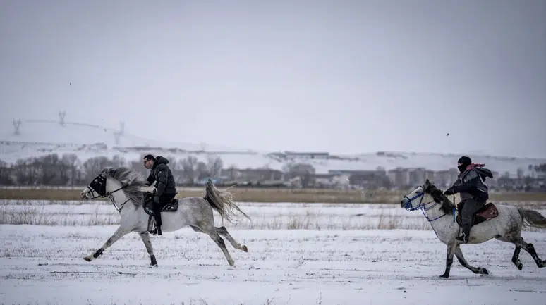 Erzurum'da kış aylarında atlı safari keyfi!