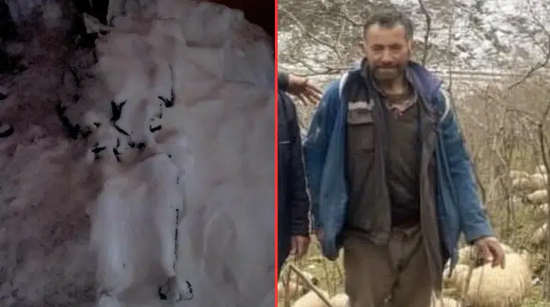 Giresun'da çığ altında kalan çoban hayatını kaybetti