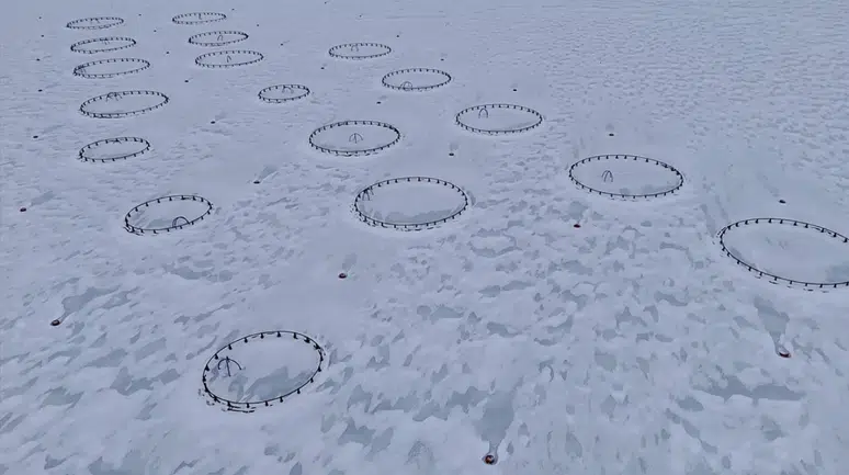 Adıyaman'daki Çat Barajı buz tuttu!