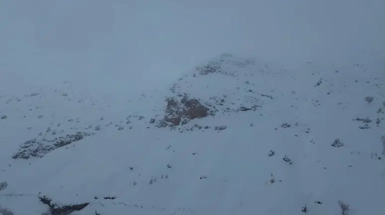 Batman'da çığ düştü: 45 hayvan telef oldu!