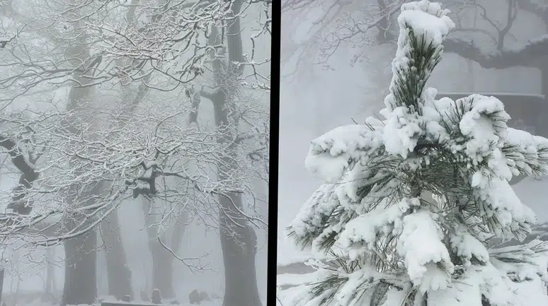 Aydın'da kar manzarası için yüksek kesimlere çıktılar
