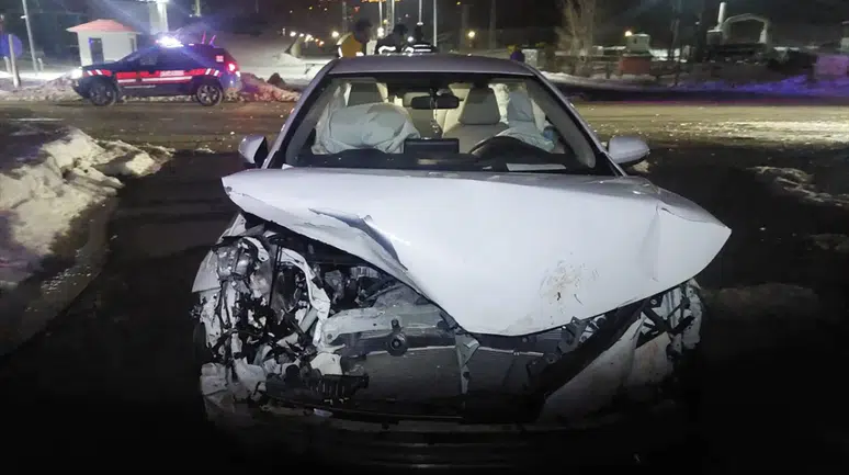 Bingöl'de otomobil domuz sürüsüne çarptı: Yaralılar var