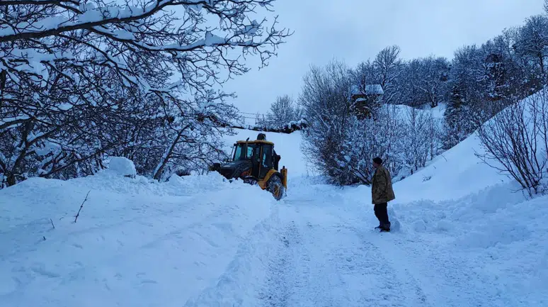 Artvin'de kar etkisi : 80 köy yolu ulaşıma kapandı