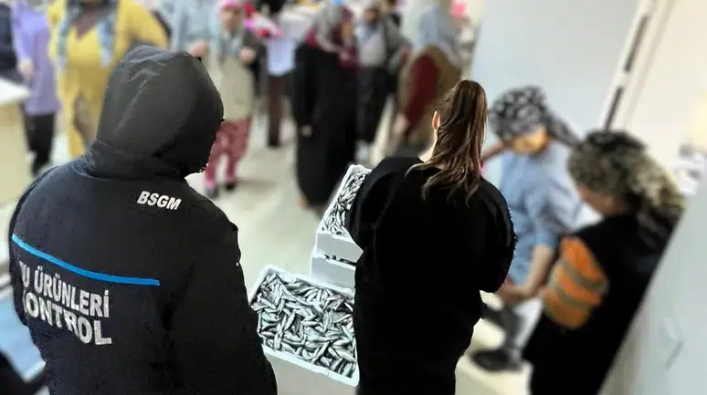 Kırklareli'nde istavrit cezası : Asgari boyun altındaki balıklar ihtiyaç sahiplerine ulaştırıldı