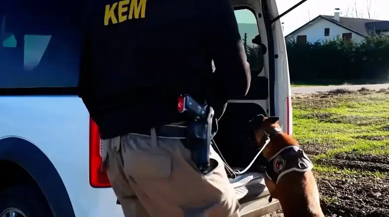 Bolu'da 11 adrese uyuşturucu operasyonu : 15 şüpheli gözaltına alındı