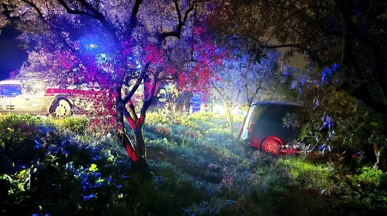 Bursa'da direksiyon hakimiyetini kaybeden sürücü zeytinliğe daldı