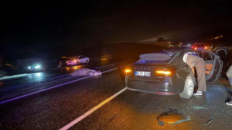 Bingöl'de otomobil ata çarptı : Yaralılar var