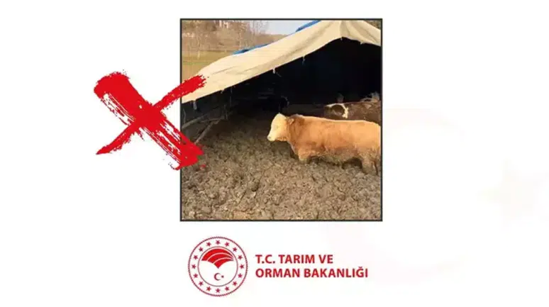 Çorum'da hayvanlara kötü muamele eden işletmeye ceza : Bakanlık devreye girdi