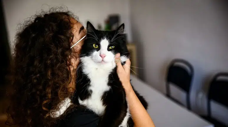 Sahipli hayvanını terk edenlere dev yaptırım