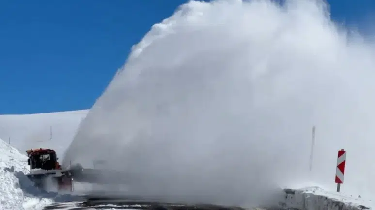 Artvin-Ardahan kara yolunda çığ düştü