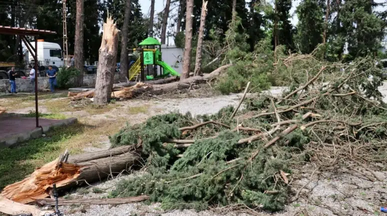 Karabük'te kestiği ağacın altında kalan işçi hayatını kaybetti