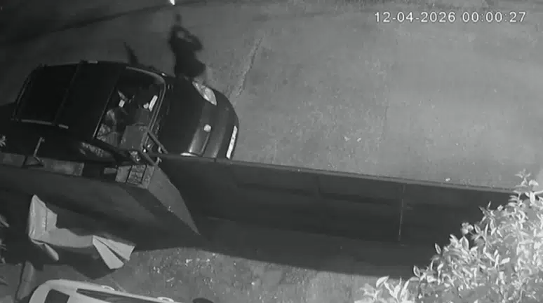 Adana Seyhan'da kasklı saldırgan dehşeti : Eve tüfekle kurşun yağdırdı