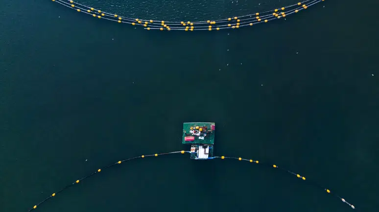 İzmit'te 'Dip Çamuru Projesi' : Su sirkülasyonu yeniden sağladı