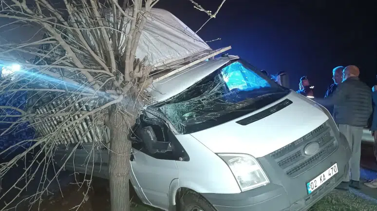 Adıyaman'da kamyonet ağaca çarptı : Sürücü yaralandı