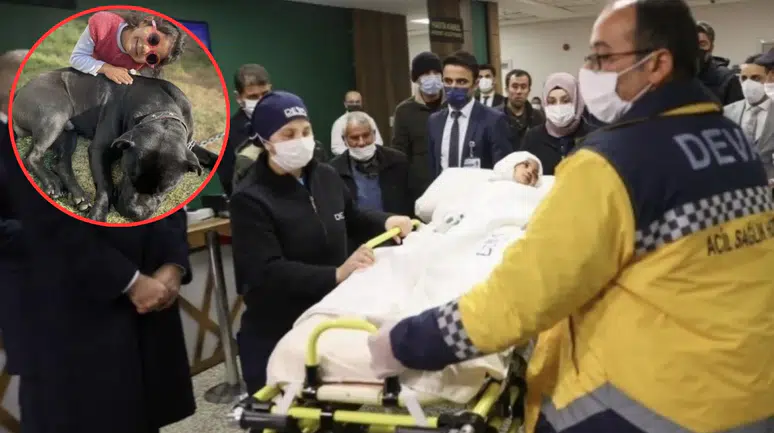 Pitbull saldırısına uğrayan 4 yaşındaki Asiye davasında karar açıklandı