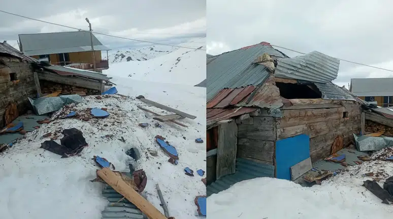 Gümüşhane'de yaylalarında ayı saldırısı : Eşyaları ve erzakları darmadağın etti