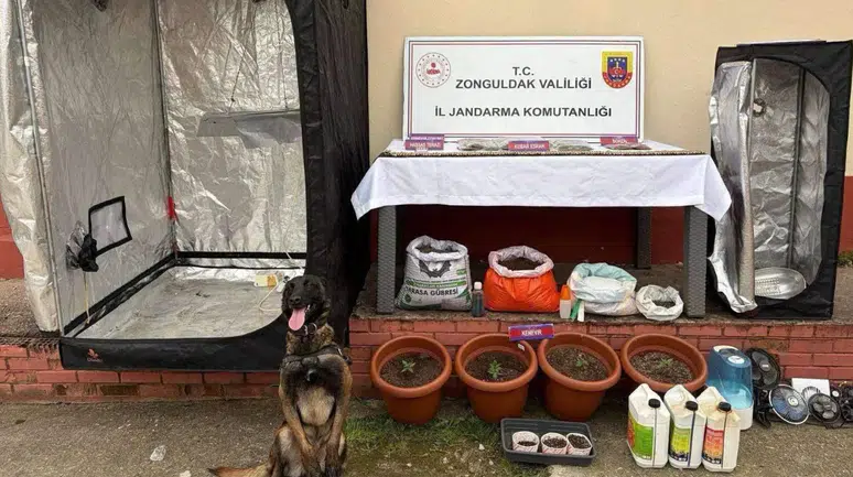 Zonguldak'ta uyuşturucu operasyonu : 2 tutuklu