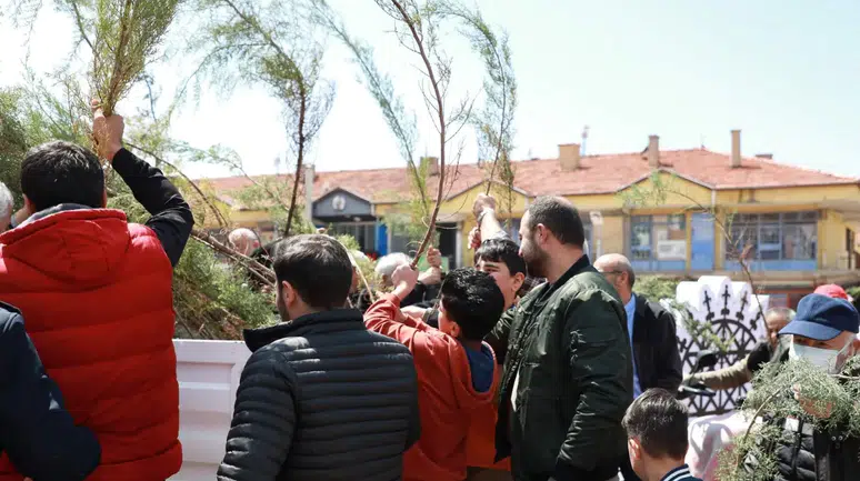 Alaca Belediyesi'nde vatandaşlara 2 bin fidan dağıtıldı