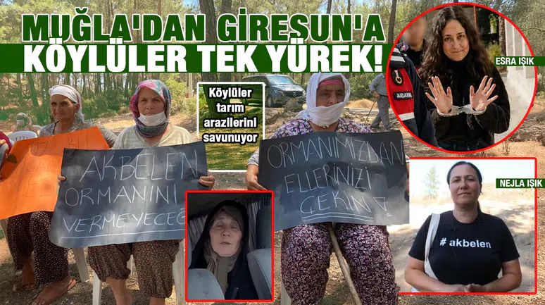 Muğla'dan Giresun'a köylüler tek yürek: Köylüler tarım arazilerini savunuyor
