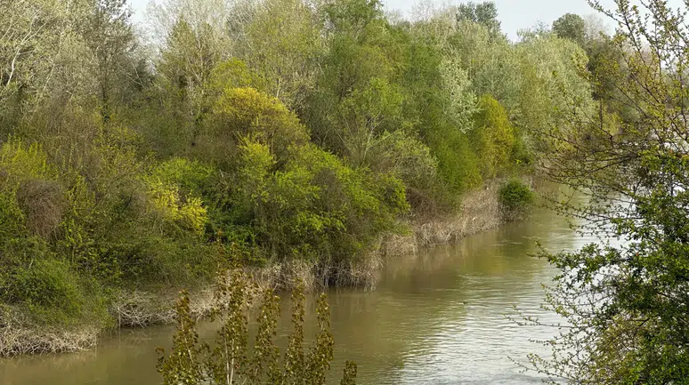 Sakarya Nehri'nde kaybolan çocuk için arama çalışması başlatıldı