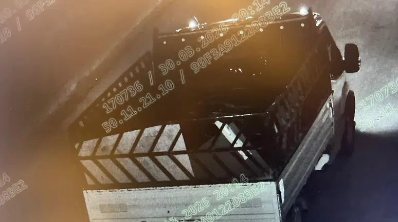 Bilecik'te 670 bin liralık kablo hırsızlığına jandarma operasyonu : 6 gözaltı, 2 tutuklama