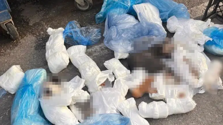 İzmir'deki '33 ölü kedi' soruşturmasında yeni gelişme