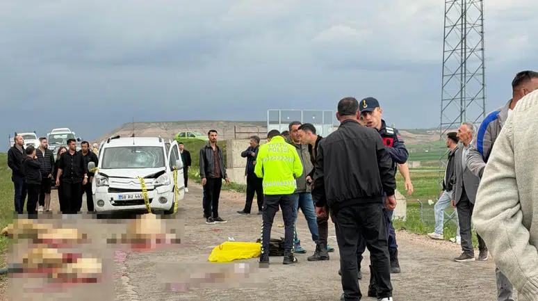 Sivas'ta araç sürüye daldı : Çoban öldü, 9 koyun telef oldu