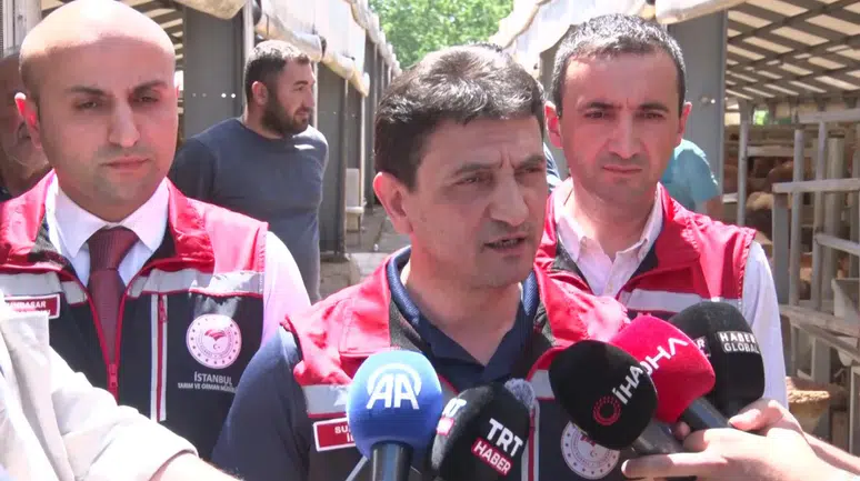 İstanbul'da kurbanlık denetimi