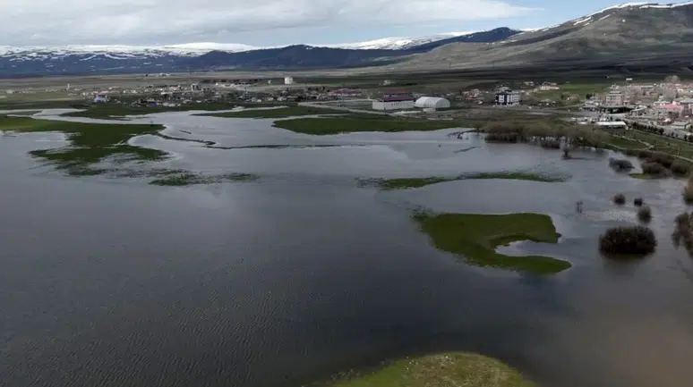 Kura Nehri taştı, Ardahan Ovası göle döndü