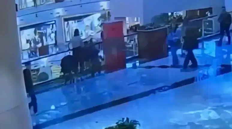 Sarıyer'de AVM'de hırsızlık : 10 yaşındaki çocuğun 92 suç kaydı çıktı
