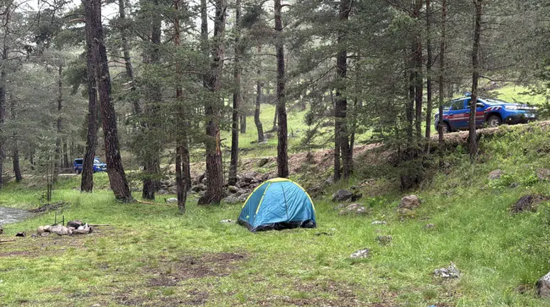 Bolu'da ormanlık alana yıldırım düştü : Piknik yapan 3 kişi yaralandı