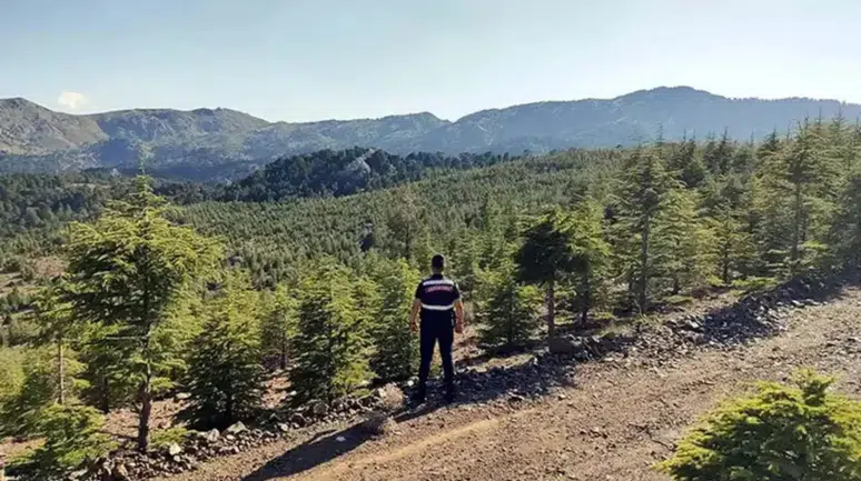 Bursa'da 15 Ekim'e kadar ormanlık alanlara girişler yasaklandı