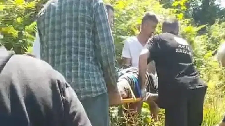 Rize'de bir kişi kiraz toplarken ağaçtan düşerek yaralandı