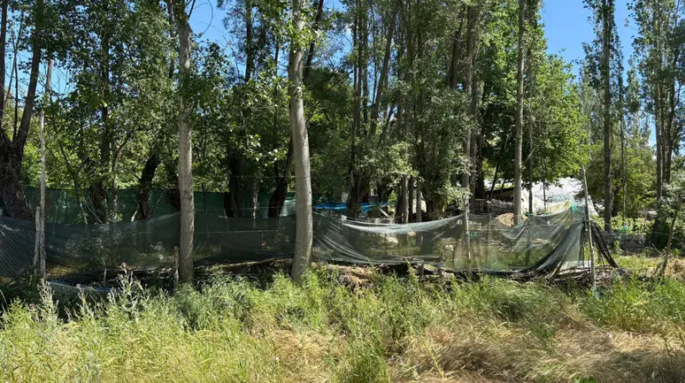 Eşinin bıçakladığı kadın hayatını kaybetti
