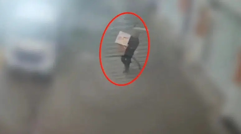 Bingöl'de evden hırsızlık operasyonu : 1 şüpheli tutuklandı