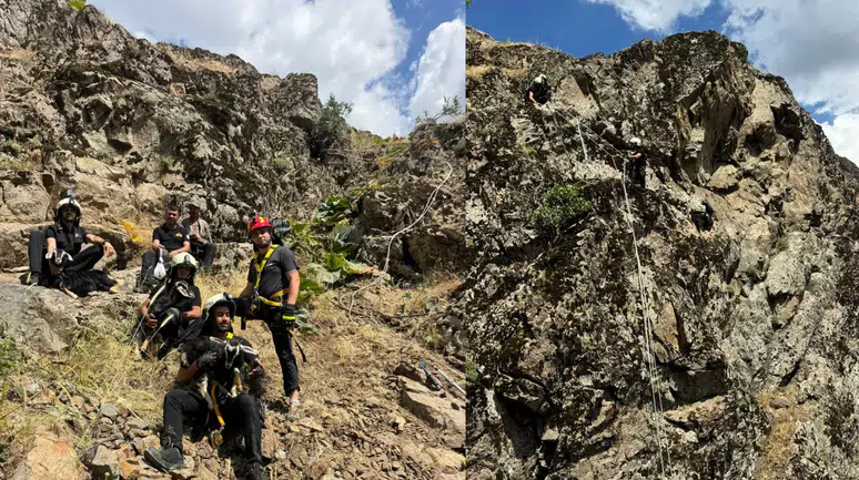 Diyarbakır'da oğlaklar kayalık alanda mahsur kaldı