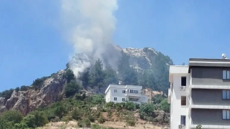 Kahramanmaraş'ta çıkan orman yangını söndürüldü