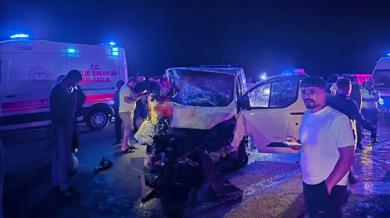Bingöl'de panelvan, yola aniden çıkan ata çarptı : 1 ölü, 2 yaralı