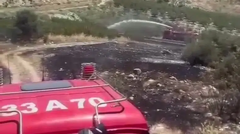 Mersin Mut'ta bahçe yangını : 6 dönüm arazi zarar gördü