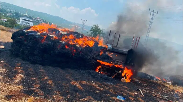 Mersin Tarsus’ta saman balyaları alevlere teslim oldu