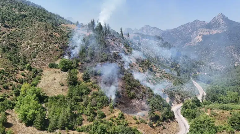 Adana Feke'de orman yangını : Havadan ve karadan müdahale ediliyor