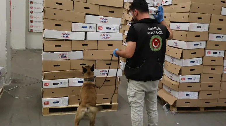Kapıkule'de dondurulmuş tavuk eti yüklü tırda uyuşturucu ele geçirildi