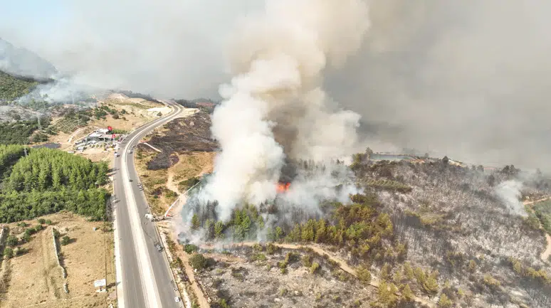 Antalya'da yangın felaketinin ağır bilançosu