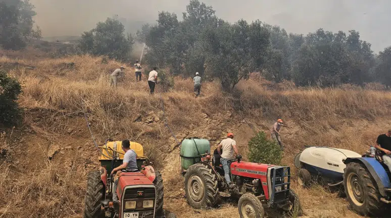 Gömeç ve Ayvalık'ta orman yangını