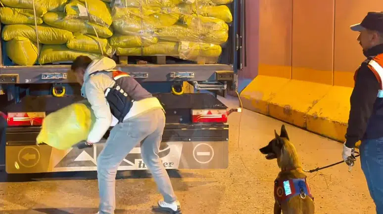 Van'da tıra uyuşturucu operasyonu : 2 gözaltı