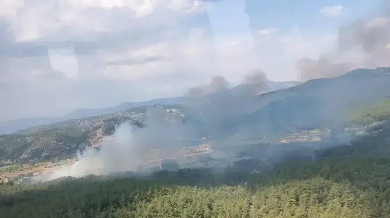 Tarım arazisinde çıkan yangın ormana sıçradı
