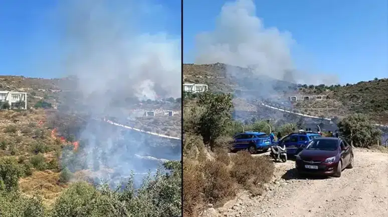 Bodrum'da otluk ve makilik alanda yangın : Havadan ve karadan müdahale başlatıldı