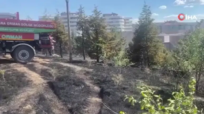 Ankara'da otluk alanda yangın çıktı